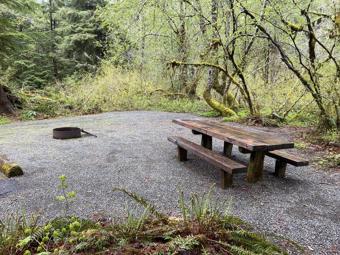 A photo of Site 001 of Loop LOOP A at COHO CAMPGROUND with Picnic Table, Fire Pit, Tent Pad