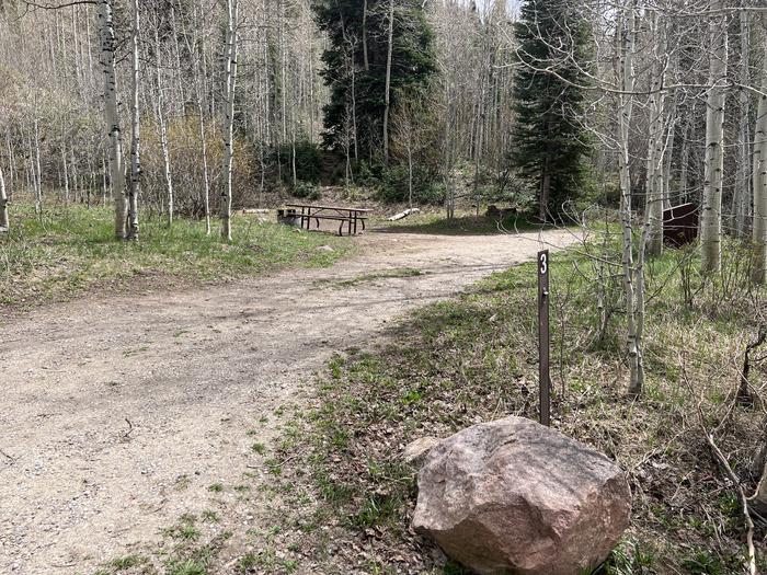 A photo of Site 03 of Loop GORE CREEK CAMPGROUND at GORE CREEK CAMPGROUND with Picnic Table, Fire Pit, Food Storage, Tent Pad