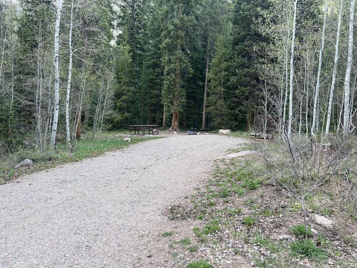 A photo of Site 11 of Loop GORE CREEK CAMPGROUND at GORE CREEK CAMPGROUND with Picnic Table, Fire Pit, Food Storage, Tent Pad