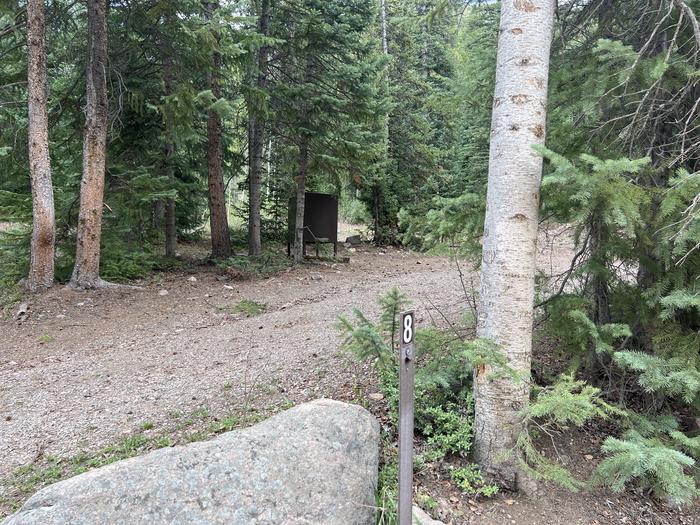 A photo of Site 08 of Loop GORE CREEK CAMPGROUND at GORE CREEK CAMPGROUND with Picnic Table, Fire Pit, Food Storage, Tent Pad