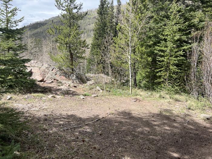 A photo of Site 19 of Loop GORE CREEK CAMPGROUND at GORE CREEK CAMPGROUND with Picnic Table, Fire Pit, Food Storage, Tent Pad