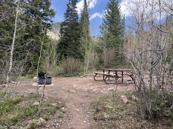 A photo of Site 19 of Loop GORE CREEK CAMPGROUND at GORE CREEK CAMPGROUND with Picnic Table, Fire Pit, Food Storage, Tent Pad