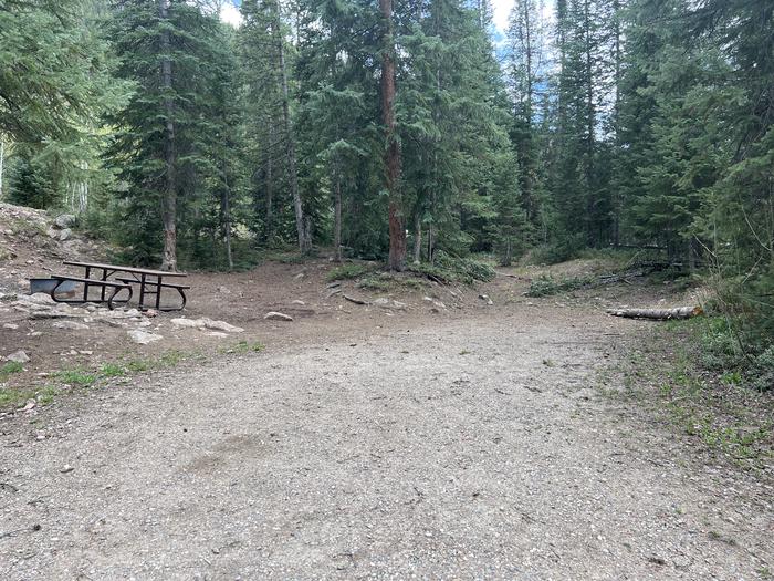 A photo of Site 07 of Loop GORE CREEK CAMPGROUND at GORE CREEK CAMPGROUND with Picnic Table, Fire Pit, Food Storage, Tent Pad