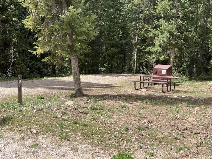 A photo of Site 10 of Loop GORE CREEK CAMPGROUND at GORE CREEK CAMPGROUND with Picnic Table, Fire Pit, Food Storage, Tent Pad