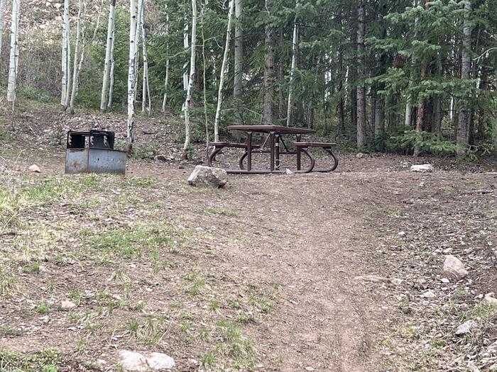 A photo of Site 22 of Loop GORE CREEK CAMPGROUND at GORE CREEK CAMPGROUND with Picnic Table, Fire Pit, Food Storage, Tent Pad