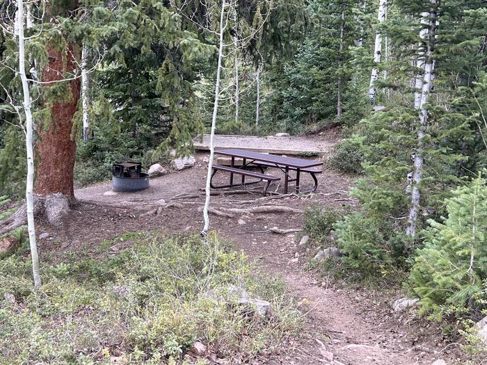 A photo of Site 25 of Loop GORE CREEK CAMPGROUND at GORE CREEK CAMPGROUND with Picnic Table, Fire Pit, Shade, Food Storage, Tent Pad