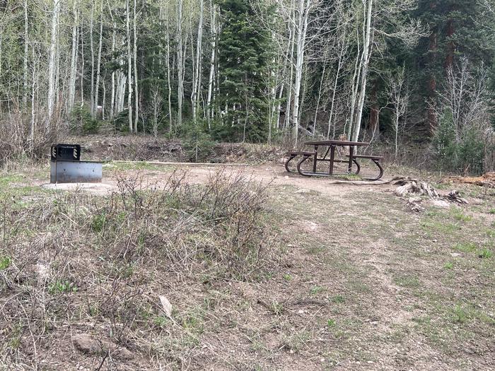A photo of Site 21 of Loop GORE CREEK CAMPGROUND at GORE CREEK CAMPGROUND with Picnic Table, Fire Pit, Food Storage, Tent Pad