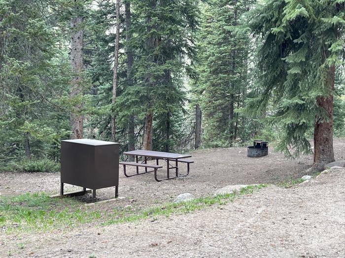 A photo of Site 14 of Loop GORE CREEK CAMPGROUND at GORE CREEK CAMPGROUND with Picnic Table, Fire Pit, Food Storage, Tent Pad, Waterfront