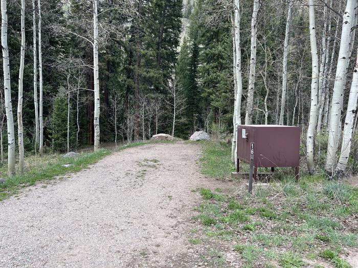 A photo of Site 16 of Loop GORE CREEK CAMPGROUND at GORE CREEK CAMPGROUND with Picnic Table, Fire Pit, Food Storage, Tent Pad, Waterfront