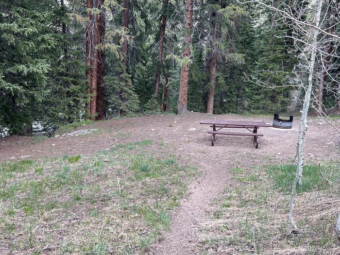 A photo of Site 16 of Loop GORE CREEK CAMPGROUND at GORE CREEK CAMPGROUND with Picnic Table, Fire Pit, Shade, Food Storage, Tent Pad, Waterfront