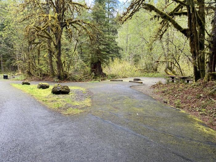 A photo of Site 001 of Loop LOOP A at COHO CAMPGROUND with No Amenities Shown