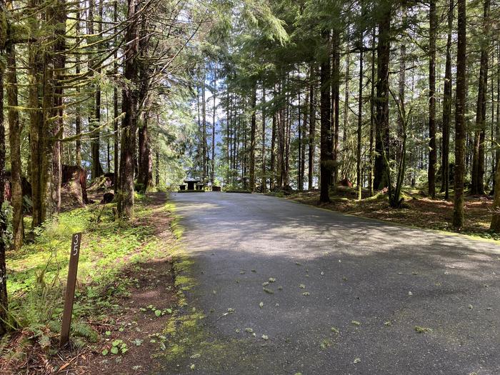A photo of Site 035 of Loop LOOP B at COHO CAMPGROUND with No Amenities Shown