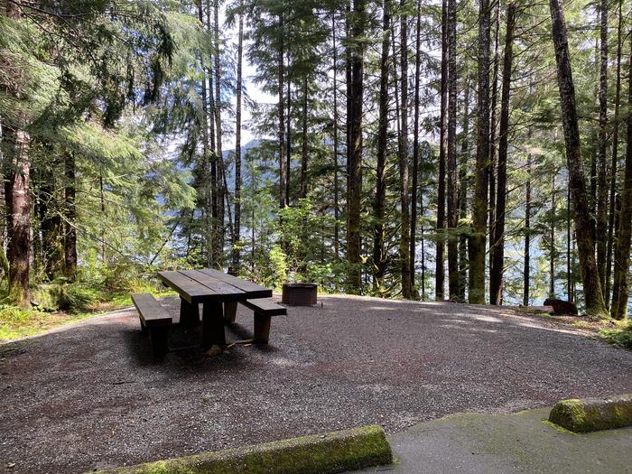A photo of Site 035 of Loop LOOP B at COHO CAMPGROUND with Picnic Table, Fire Pit, Tent Pad