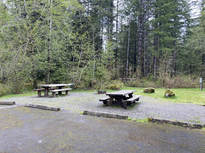 A photo of Site 040 of Loop LOOP B at COHO CAMPGROUND with Picnic Table, Fire Pit, Tent Pad
