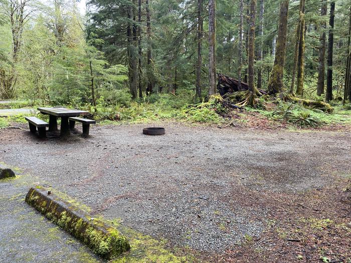 A photo of Site 007 of Loop LOOP A at COHO CAMPGROUND with Picnic Table, Fire Pit, Tent Pad