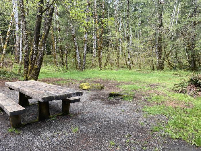 A photo of Site 044 of Loop LOOP B at COHO CAMPGROUND with Tent Pad