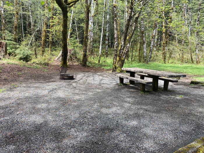 A photo of Site 044 of Loop LOOP B at COHO CAMPGROUND with Picnic Table, Fire Pit, Tent Pad