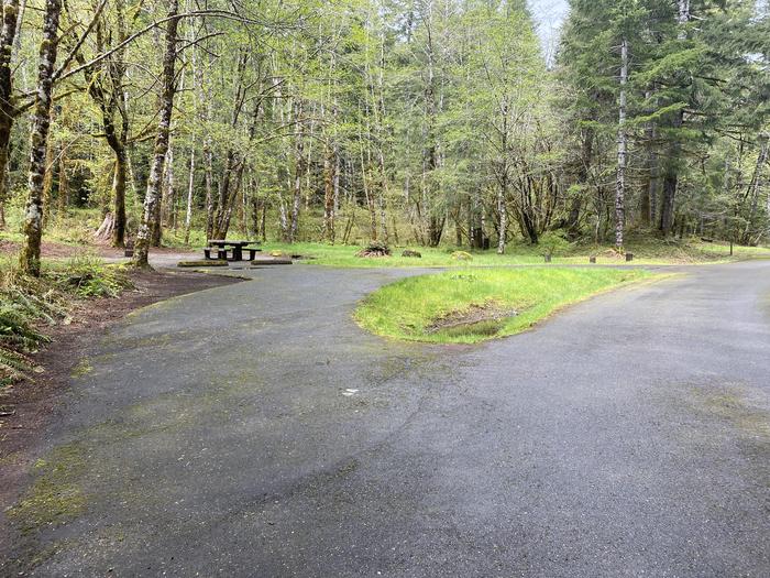 A photo of Site 044 of Loop LOOP B at COHO CAMPGROUND with No Amenities Shown