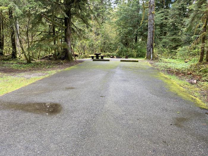 A photo of Site 012 of Loop LOOP A at COHO CAMPGROUND with No Amenities Shown