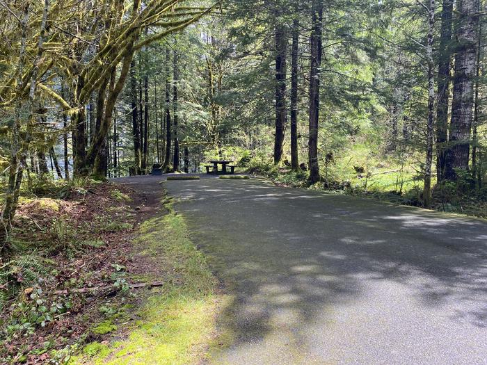 A photo of Site 034 of Loop LOOP B at COHO CAMPGROUND with No Amenities Shown