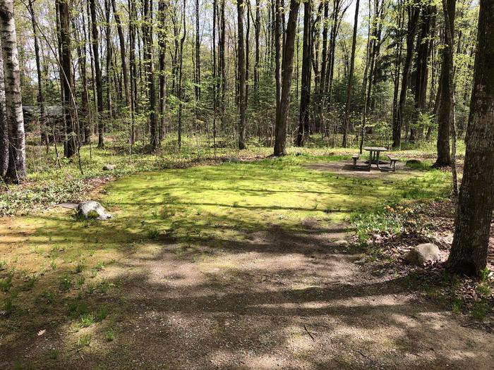 A photo of Site 10 of Loop Main Loop at RICHARDSON LAKE CAMPGROUND with Picnic Table, Fire Pit, Tent Pad