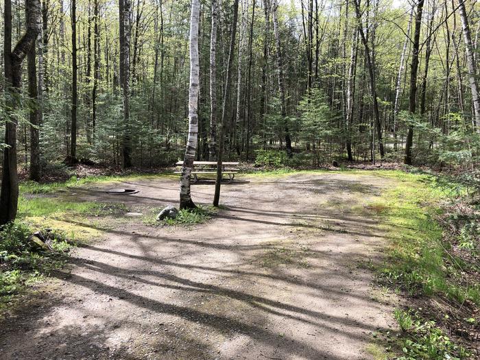A photo of Site 23 of Loop Small Loop at RICHARDSON LAKE CAMPGROUND with Picnic Table, Fire Pit, Tent Pad