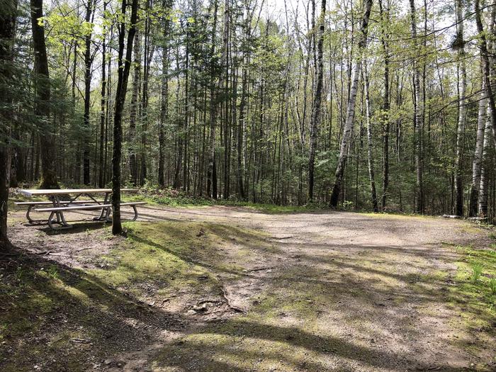 A photo of Site 25 of Loop Small Loop at RICHARDSON LAKE CAMPGROUND with Picnic Table, Fire Pit, Tent Pad