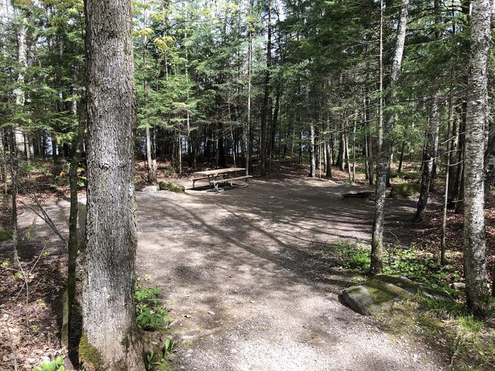 A photo of Site 21 of Loop Small Loop at RICHARDSON LAKE CAMPGROUND with Picnic Table, Fire Pit, Tent Pad