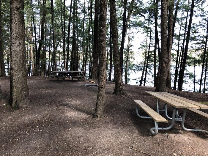A photo of Site 07 of Loop Main Loop at RICHARDSON LAKE CAMPGROUND with Picnic Table, Fire Pit, Shade, Tent Pad