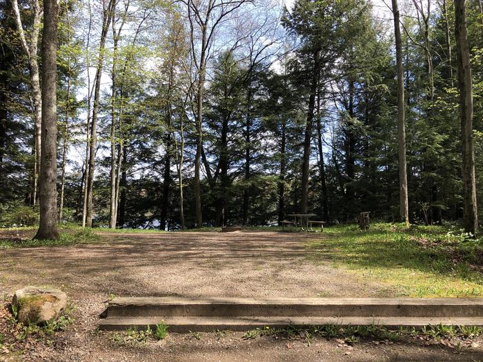 A photo of Site 06 of Loop Main Loop at RICHARDSON LAKE CAMPGROUND with Picnic Table, Fire Pit, Tent Pad