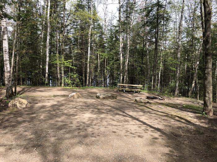 A photo of Site 26 of Loop Small Loop at RICHARDSON LAKE CAMPGROUND with Picnic Table, Fire Pit, Tent Pad