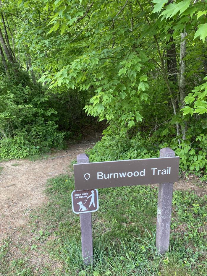 Color photo of sign reading "Burnwood Trail" and imaged sign indicating dogs must be on leash in front of a dirt trail leading into a green forest.Pets must be leashed on trail with a leash no longer than 6 feet.