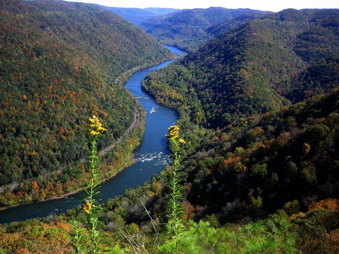 Color photo of a gorge with fall foliage and a river running down the middleMain Overlook View