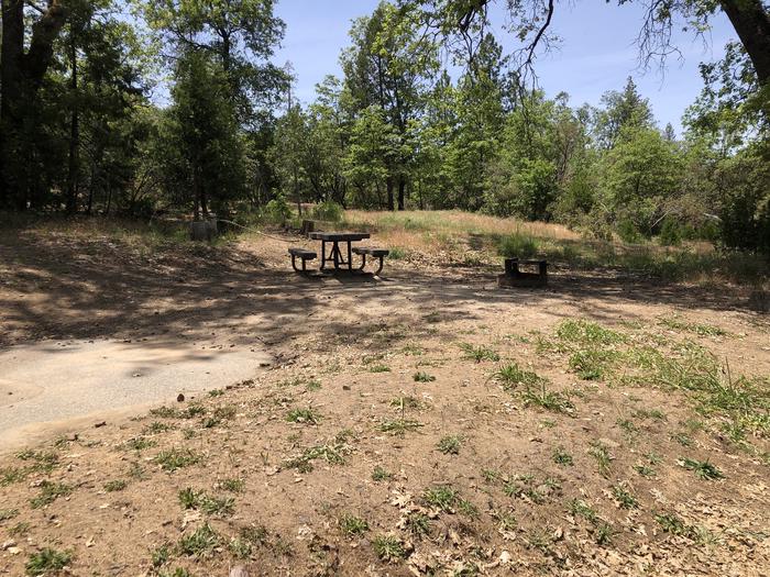 A photo of Site 075 of Loop 63-75 at LUPINE with Picnic Table, Fire Pit, Shade, Tent Pad