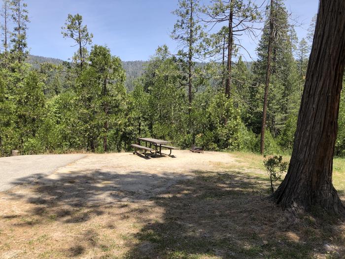 A photo of Site 085 of Loop 76-93 at LUPINE with Picnic Table, Fire Pit, Tent Pad