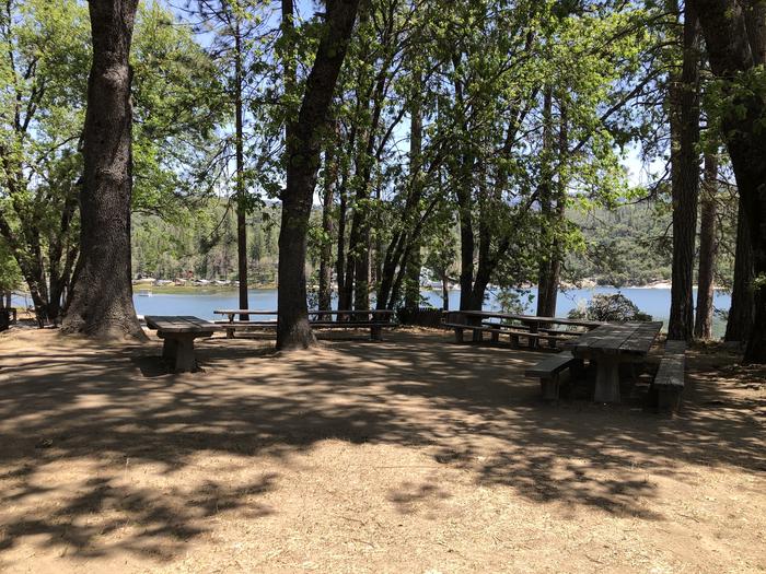 A photo of Site Oak Point Picnic of Loop OAKP at RECREATION POINT with Picnic Table, Shade, Barbecue 