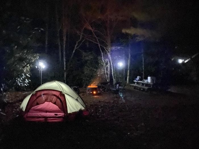 Beartree TentsCamping Scene