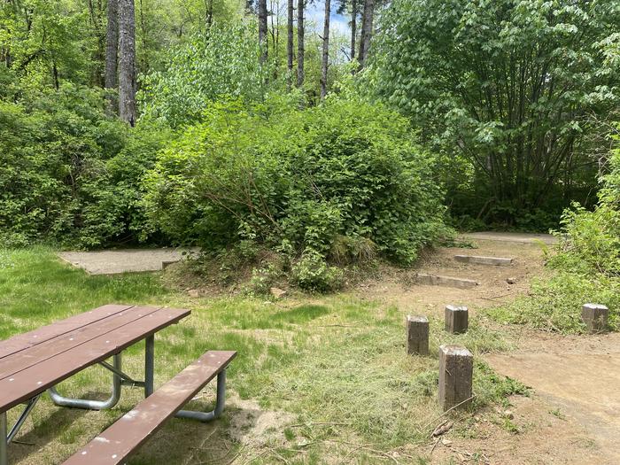 A photo of Site Site 11 of Loop Front Loop at Whittaker Creek Recreation Site with table and two tent padsA photo of Site Site 11 of Loop Front Loop at Whittaker Creek Recreation Site with Fire Pit, Tent Pad