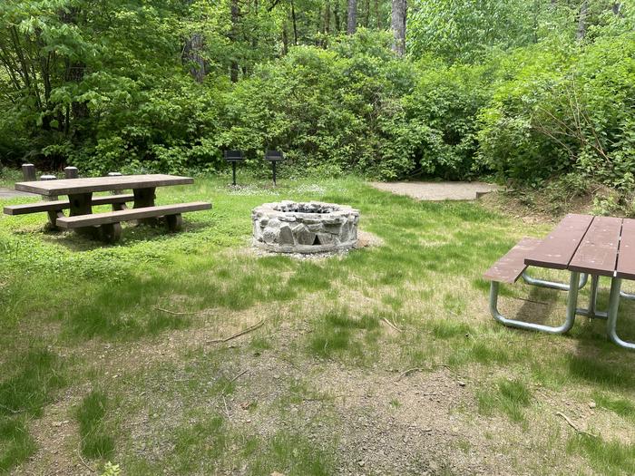 A photo of Site Site 11 of Loop Front Loop at Whittaker Creek Recreation Site with Picnic Table, Fire Pit, Tent Pad