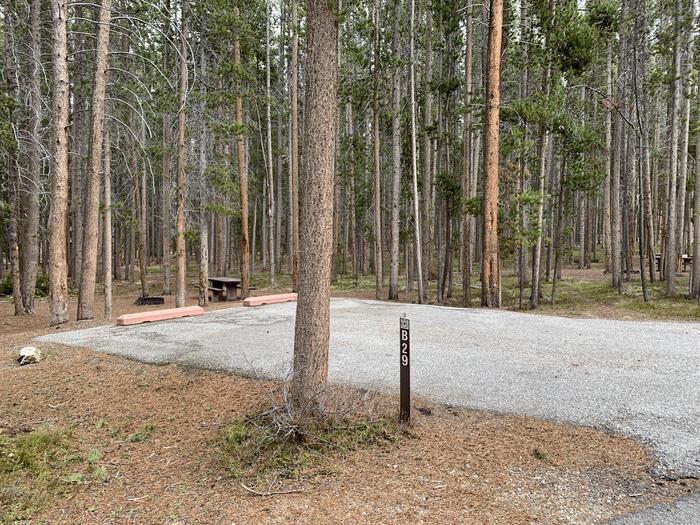 A photo of Site 029 of Loop B at PHILIPSBURG BAY CAMPGROUND with Picnic Table, Fire Pit, Shade