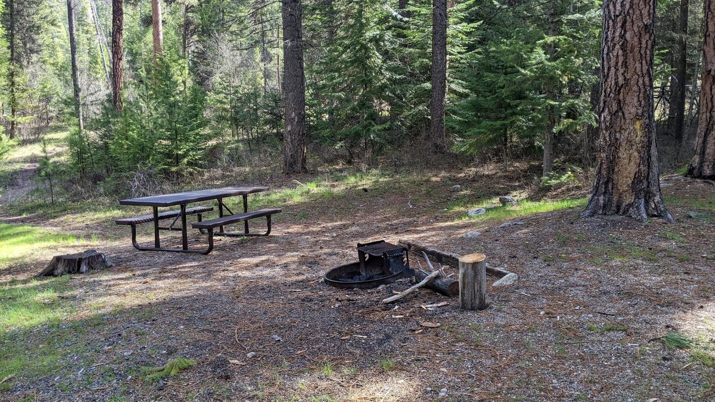 Forested campsite with picnic table and fire pit.Poverty Flat Campsite