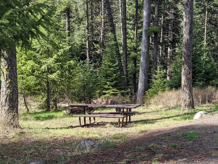 Forested campsite at Four Mile Campground