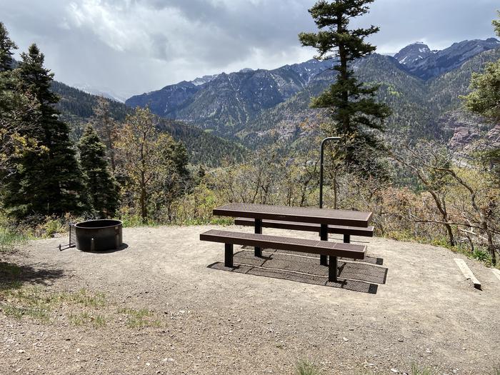 A photo of Site 011 of Loop AMPHITHEATER  at AMPHITHEATER (CO) with Picnic Table, Fire Pit, Tent Pad, Lantern Pole