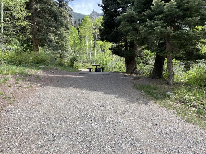 A photo of Site 031 of Loop AMPHITHEATER  at AMPHITHEATER (CO) with Picnic Table, Fire Pit, Tent Pad, Lantern Pole. A steep parking pad. Hard to level trailers. Tear drop and pop up’s, tents’ jeeps with roof top tents best. 