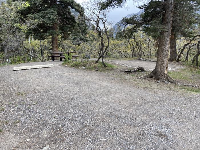 A photo of Site 023 of Loop AMPHITHEATER  at AMPHITHEATER (CO) with Picnic Table, Fire Pit, Tent Pad, Lantern Pole