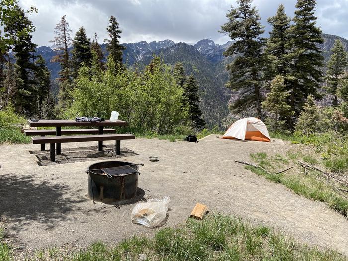 A photo of Site 010 of Loop AMPHITHEATER  at AMPHITHEATER (CO) with Picnic Table, Fire Pit, Tent Pad, Lantern Pole