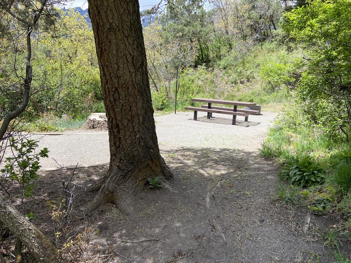 A photo of Site 009 of Loop AMPHITHEATER  at AMPHITHEATER (CO) with Picnic Table, Fire Pit, Tent Pad, Lantern Pole