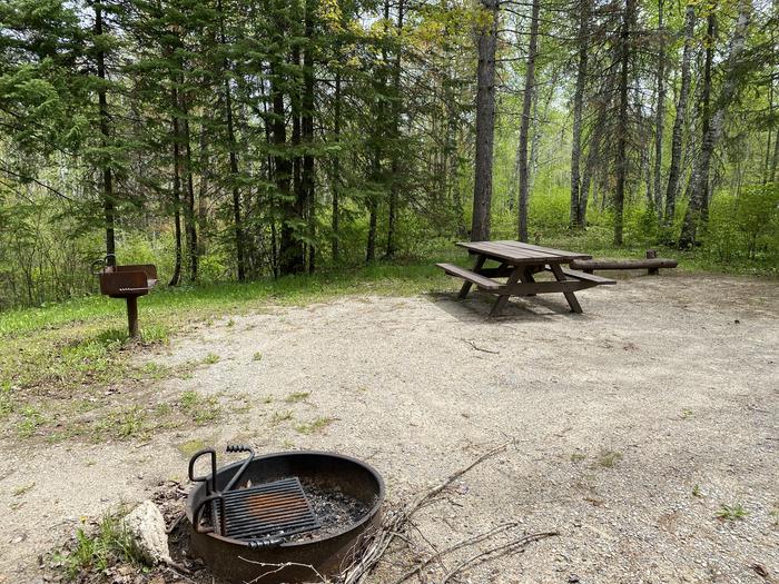 A photo of Site 002 of Loop PFEI at PFEIFFER LAKE with Picnic Table, Fire Pit, Tent Pad