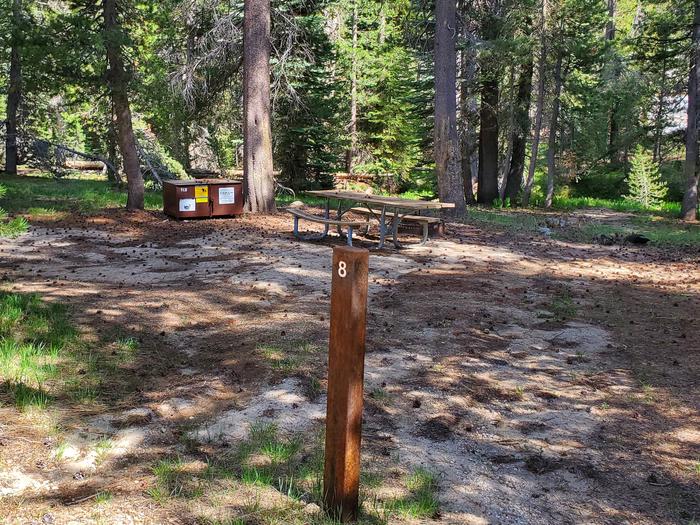 Yosemite Creek Site #8
