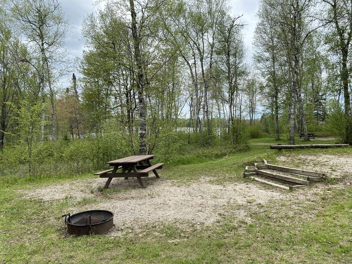A photo of Site 016 of Loop PFEI at PFEIFFER LAKE with Picnic Table, Fire Pit, Tent Pad, Waterfront